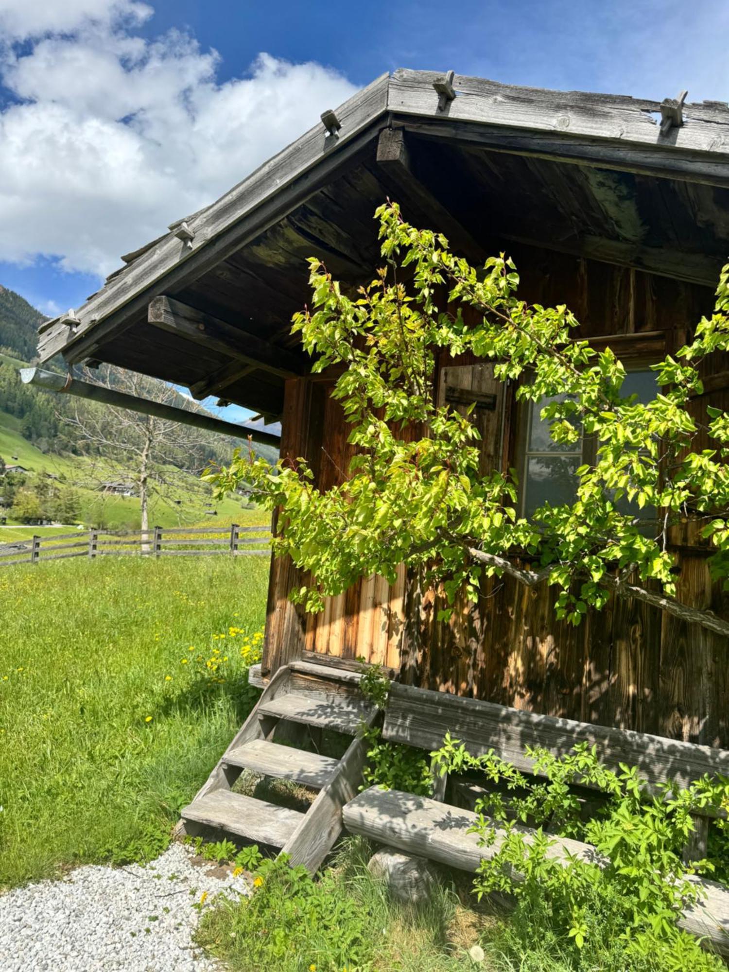 Haus Ilmer Apartment Neustift im Stubaital Exterior foto